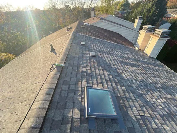 Understanding the Different Roof Coating Options