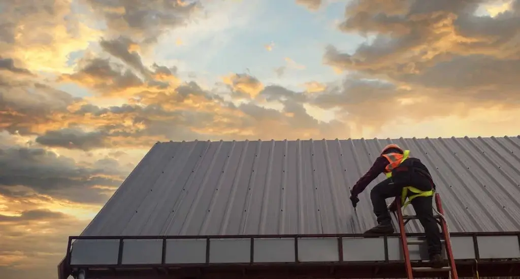 Professional Roof Installation