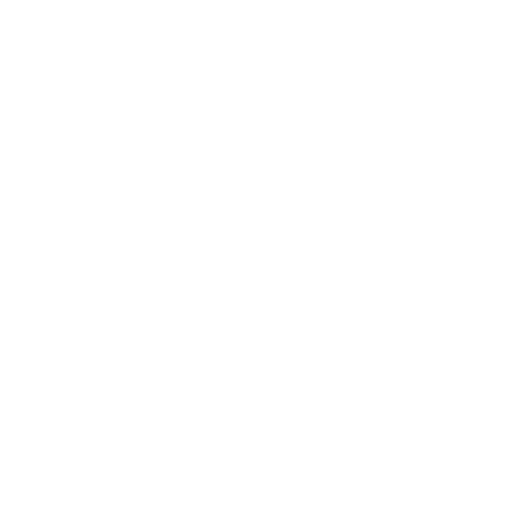 roof-inspection-icon.