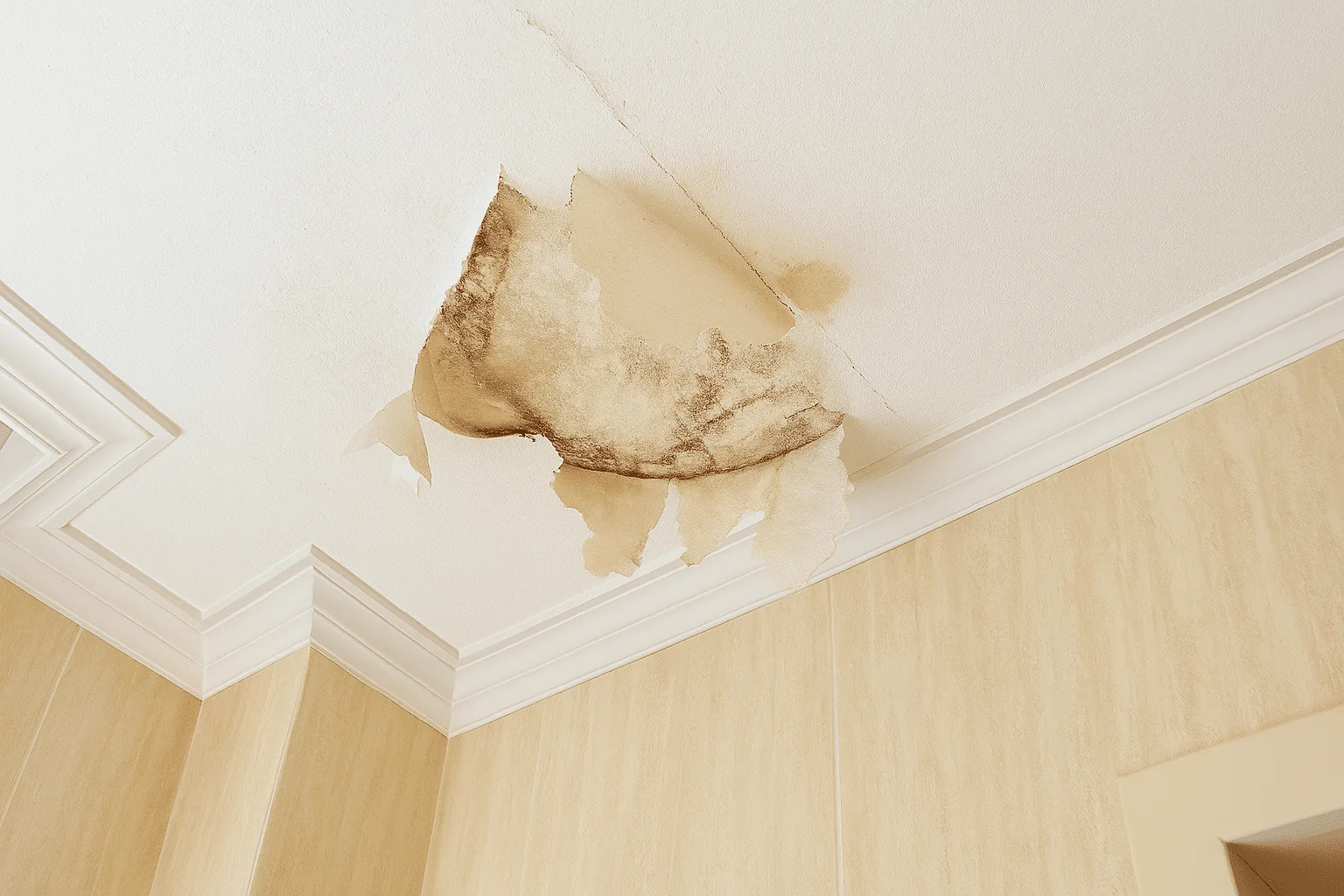 roof leak repair methods
