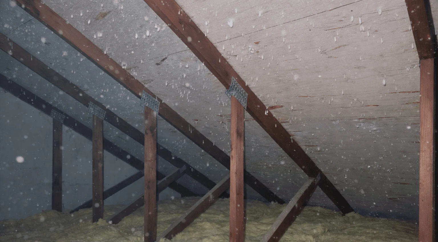 Close-up of attic frost spots showing attic condensation in Philadelphia