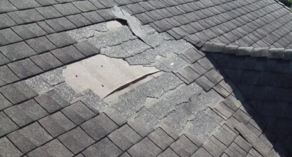 New Roof Cost
