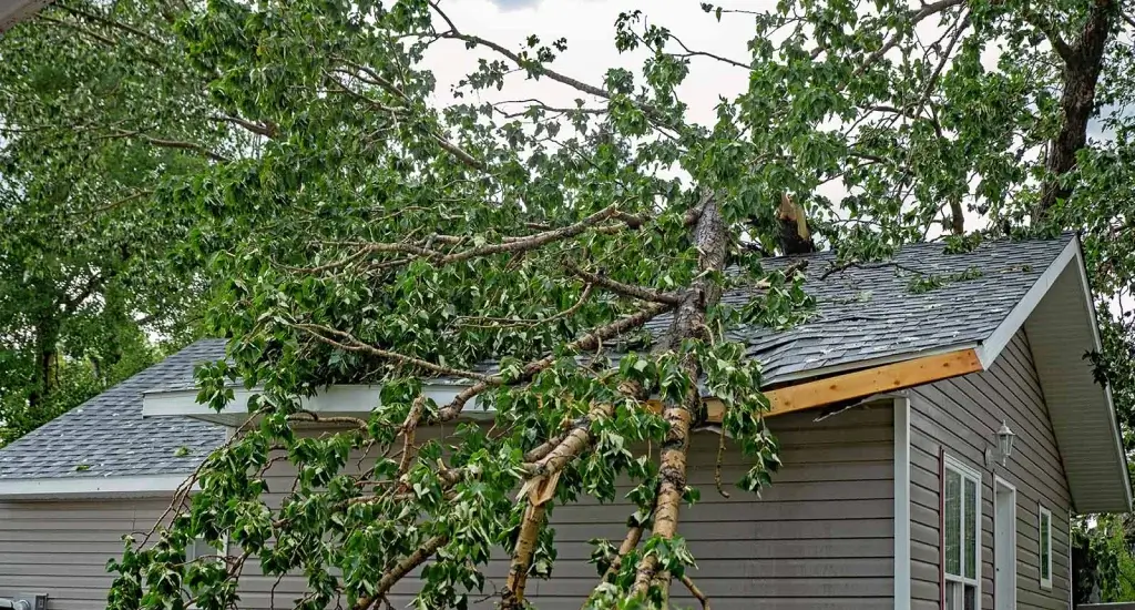 Repair Your Roof After a Storm