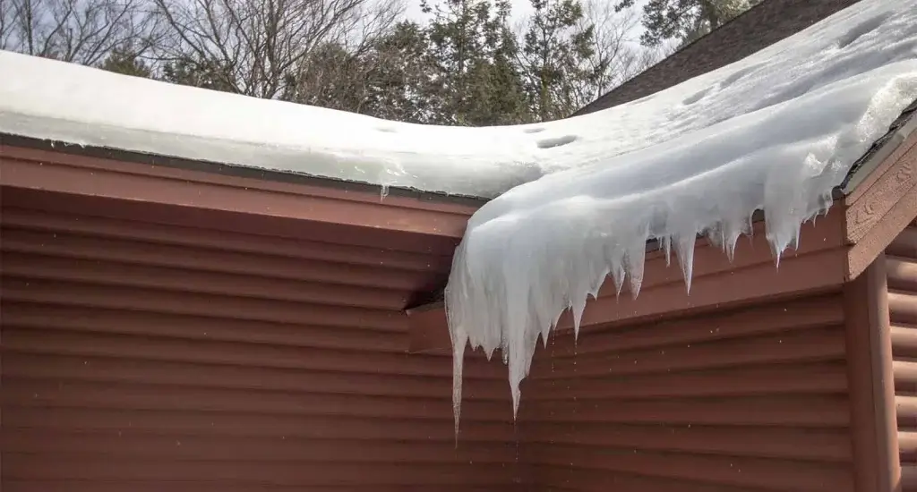 common roof problems
