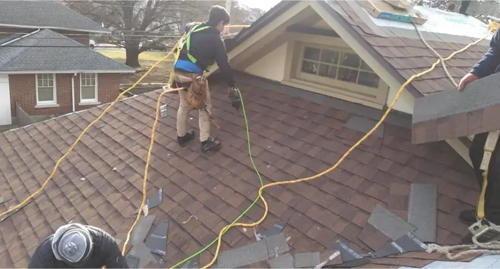 Summer Roof Replacement