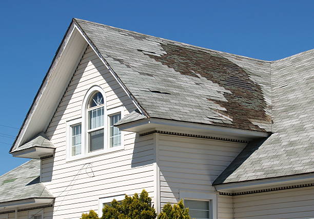 damaged Allentown roof showing common roof damage causes